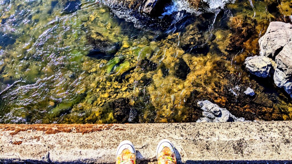 この町全体が1つの宿|四万十町ゲストハウス「Ekimaehouse SAMARU」