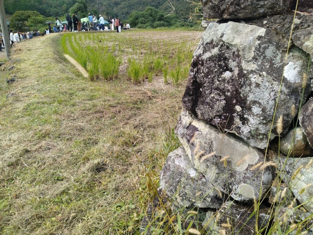 この町全体が1つの宿|四万十町ゲストハウス「Ekimaehouse SAMARU」