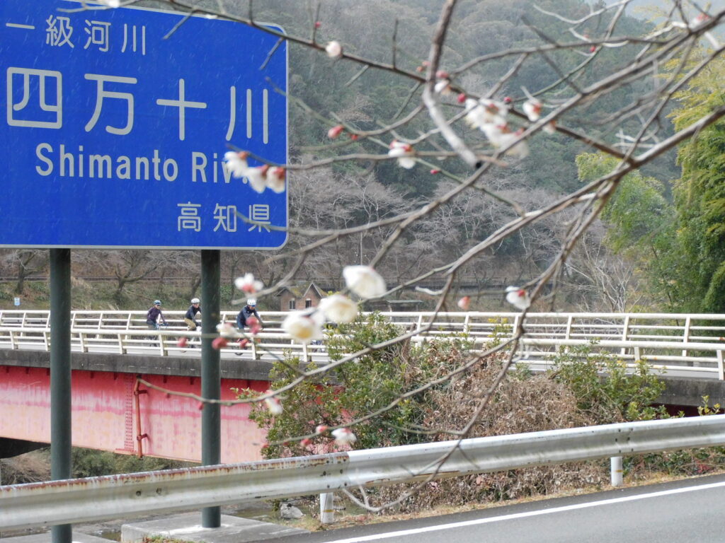 この町全体が1つの宿|四万十町ゲストハウス「Ekimaehouse SAMARU」